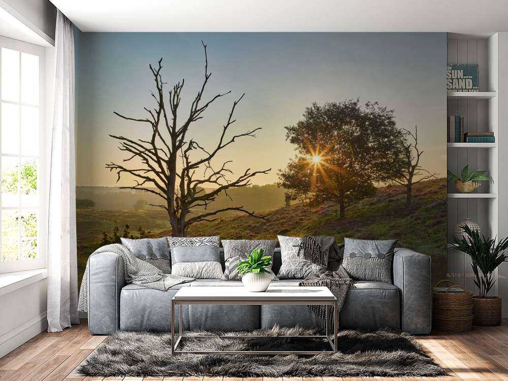 Oppgående sol på heia