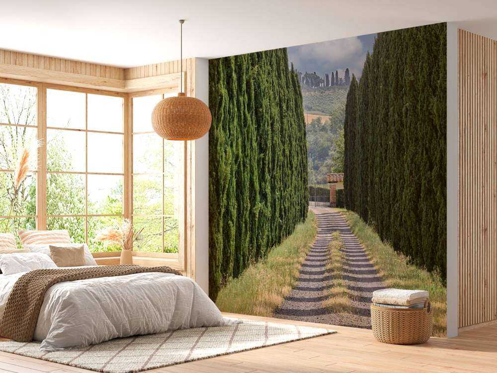 Avenue med sypresser