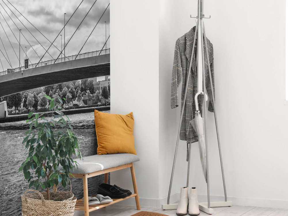 Passerer Prins Willem Alexander-broen i Rotterdam i svart-hvitt