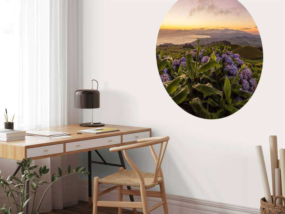 Solnedgang med hortensia