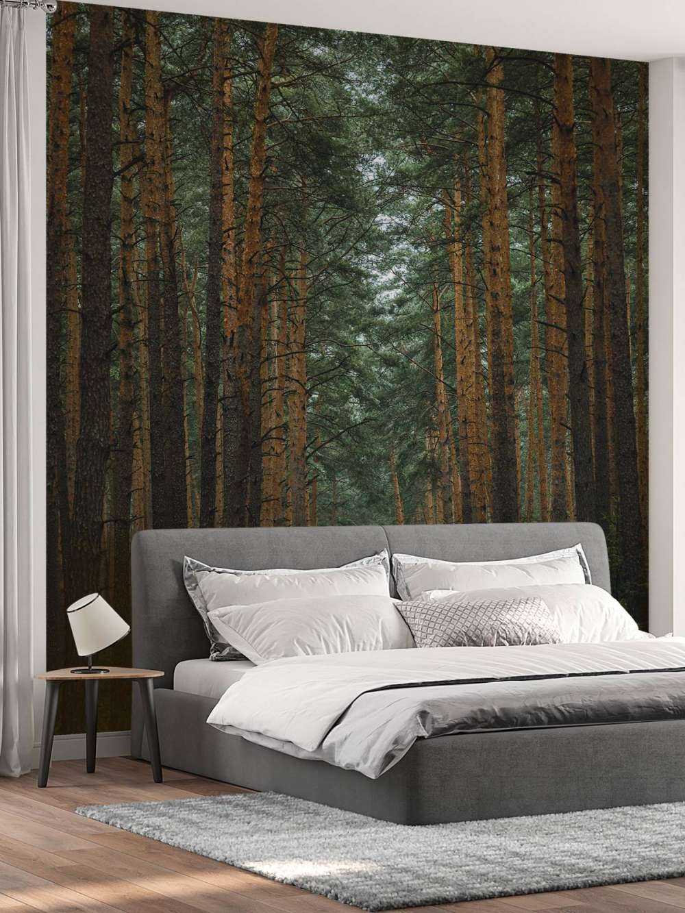 The Forest road 1