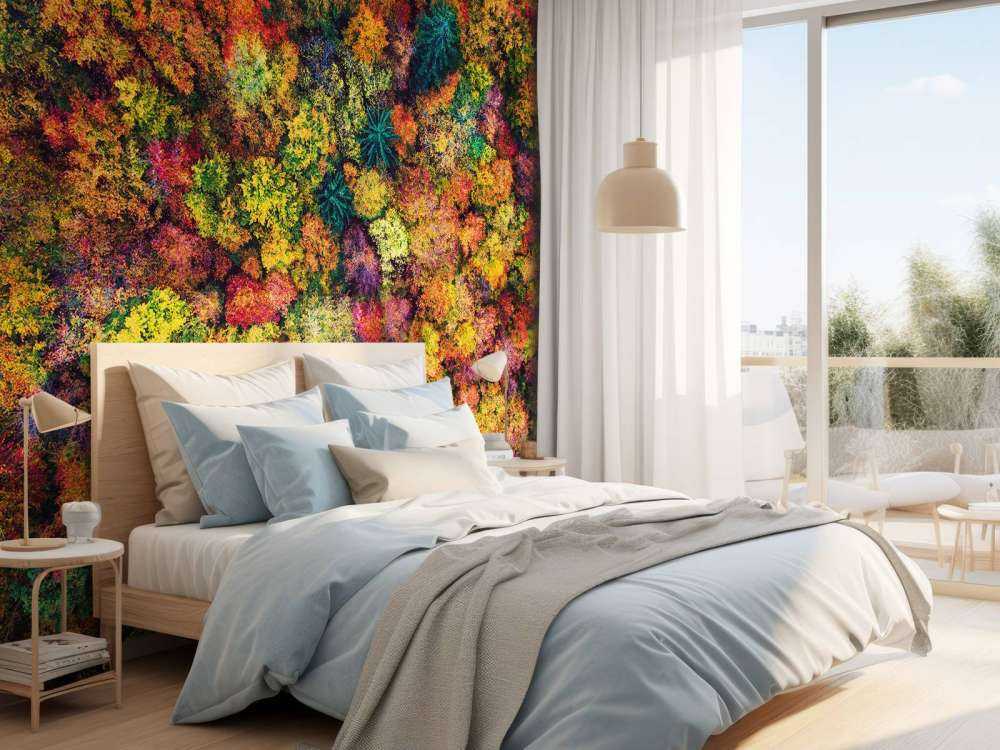 Luftfoto over høstskogen