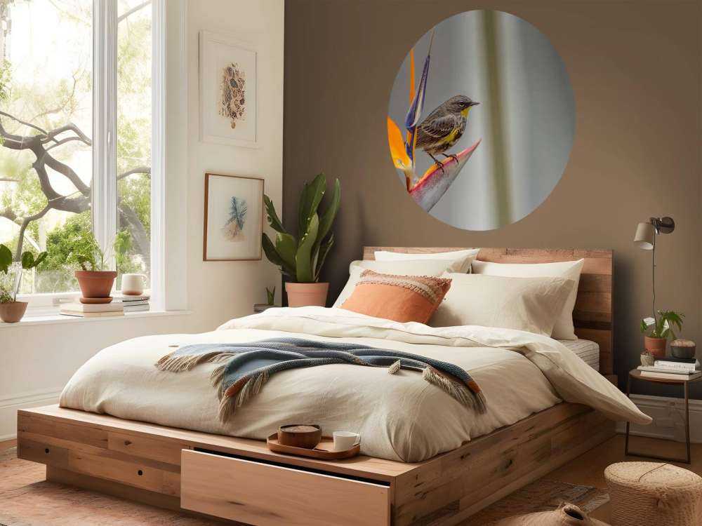 Paradisblomst med fugl