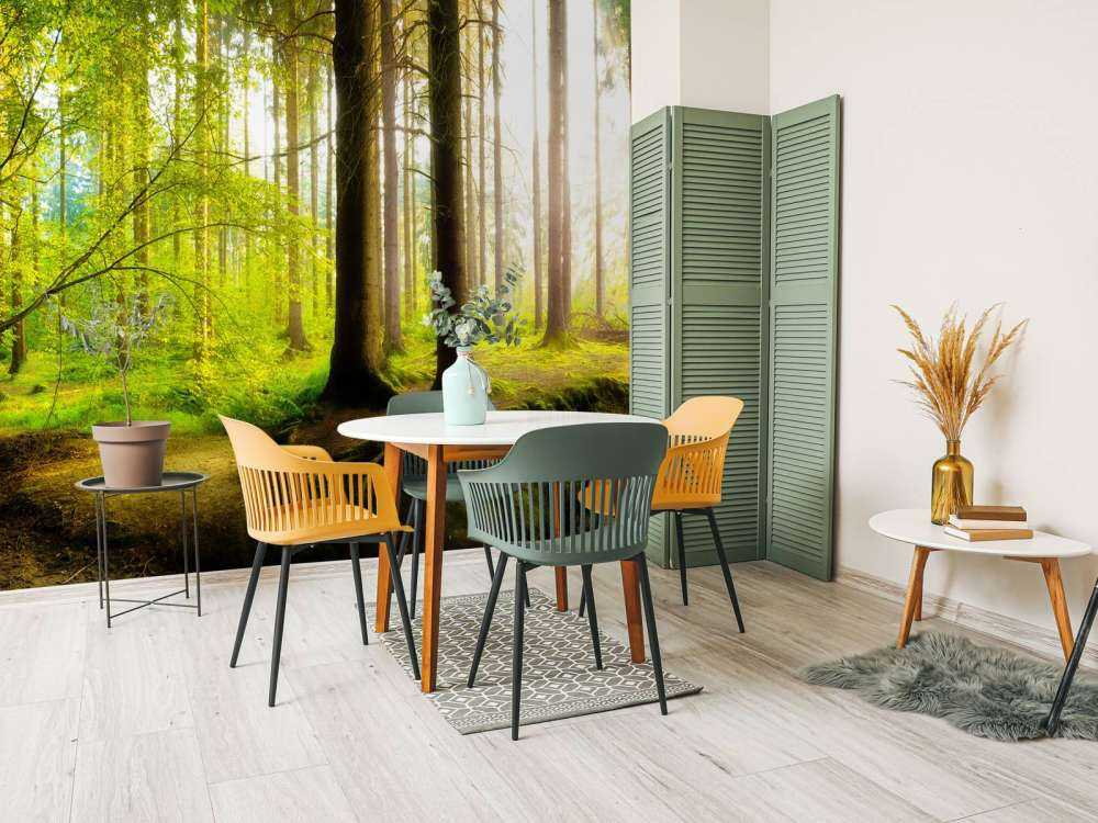 Frisk grønn skog