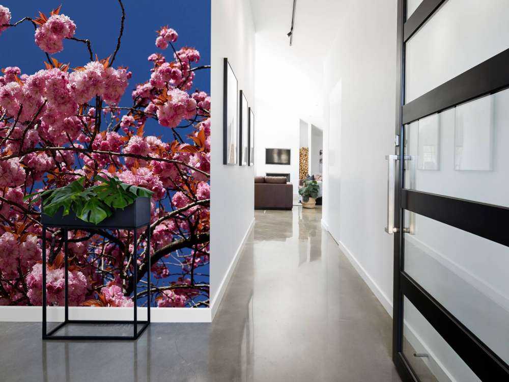 Rosa blomma med blå himmel