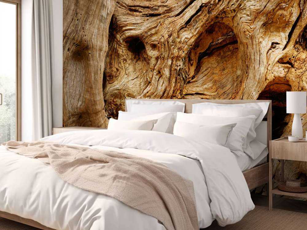 Gammalt träd för närbild