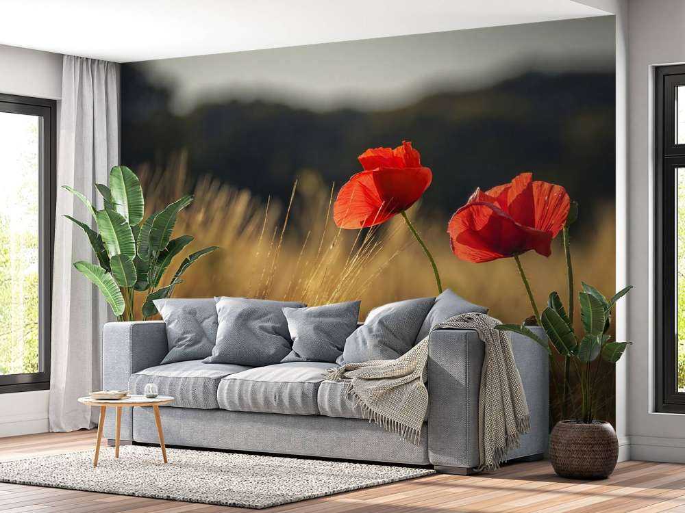 Vallmo i ett vetefält