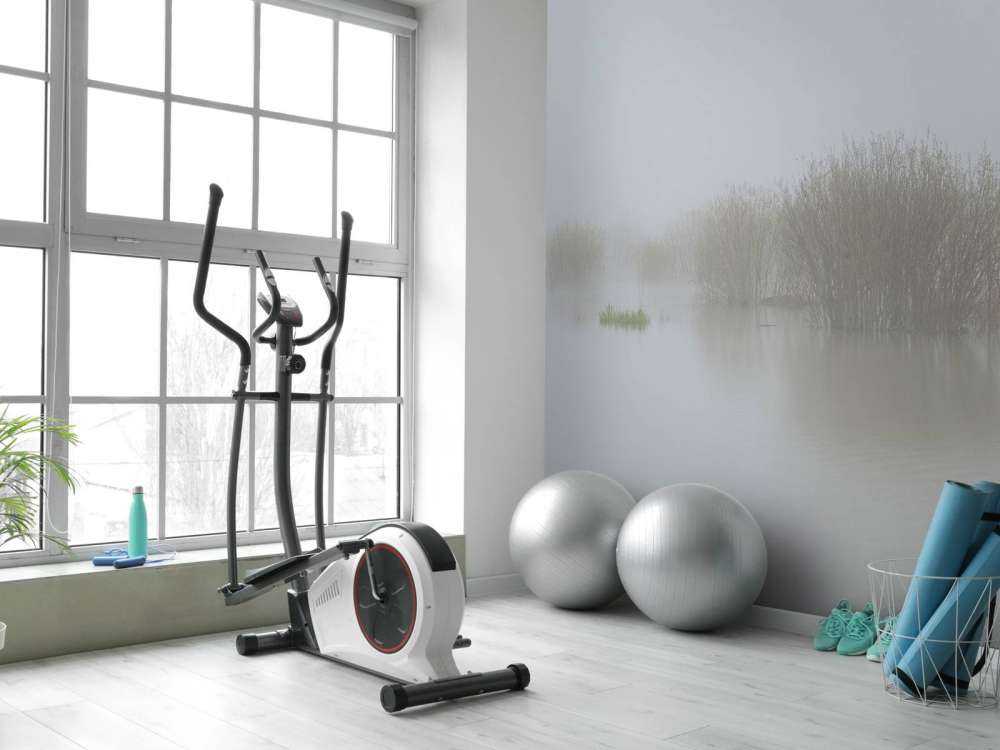 Dimma i naturreservat