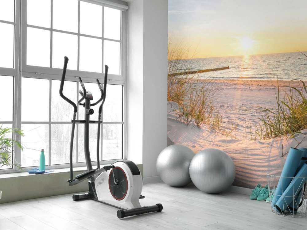 savanndynstranden med solnedgång