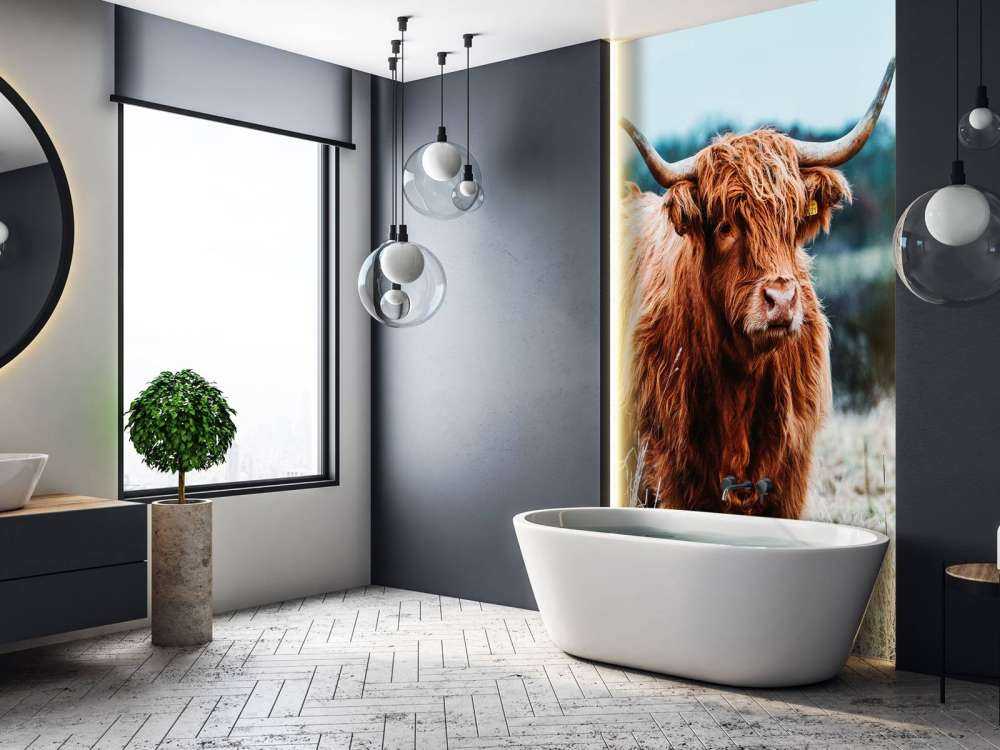 Skotsk hoglandare i skogen