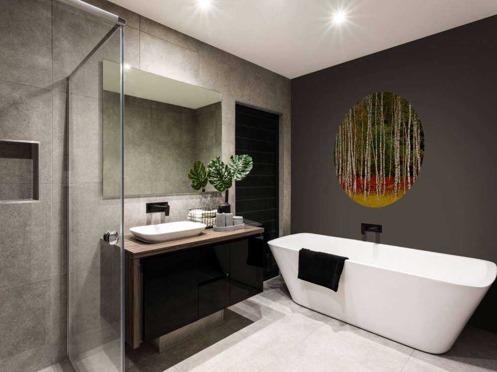 Björkträd i utkanten av skogen