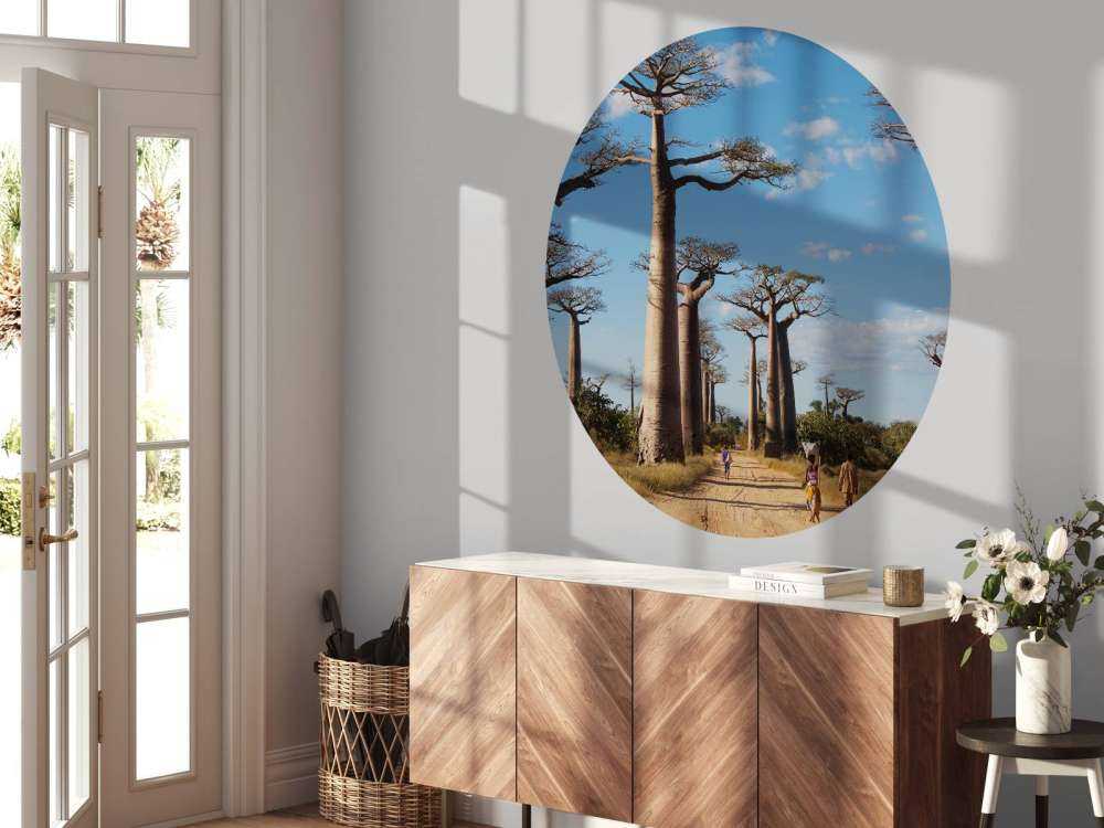 Baobab träd