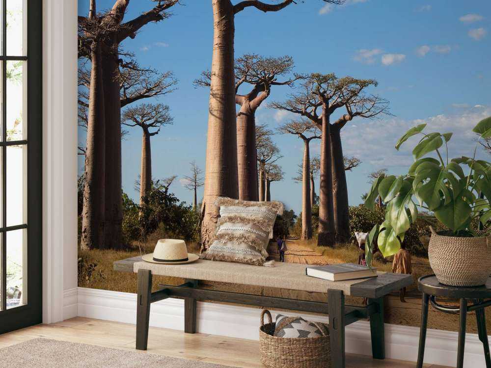 Baobab träd