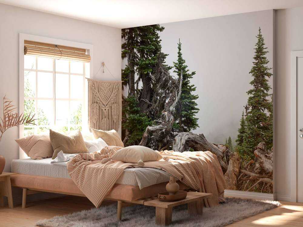 Träd och gamla träd