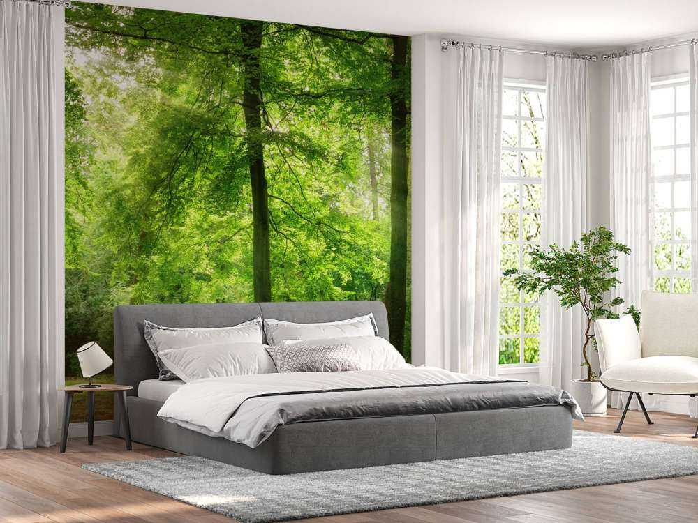 Skog med lätt dimma