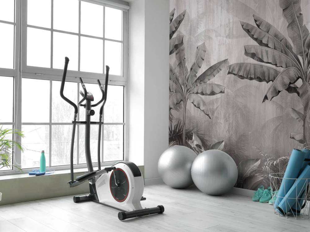 Tropiska nevelpalmer