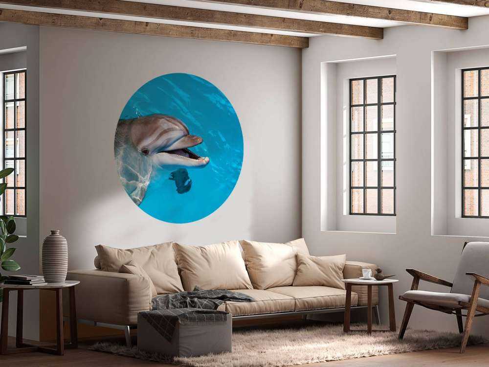 Vänlig delfin