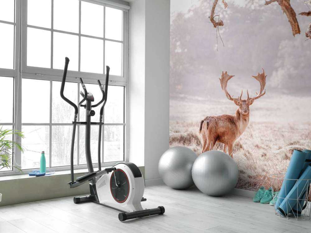 Rådjur på ett fält