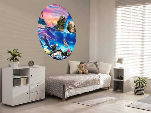 Dolphin Panorama