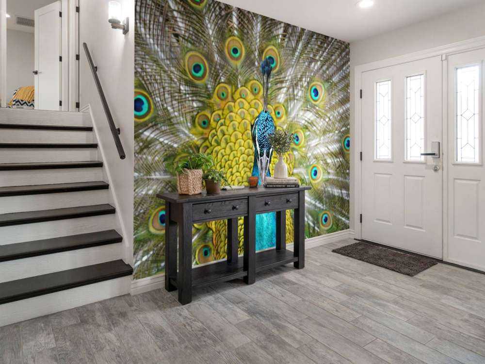 Framsida av en påfågel