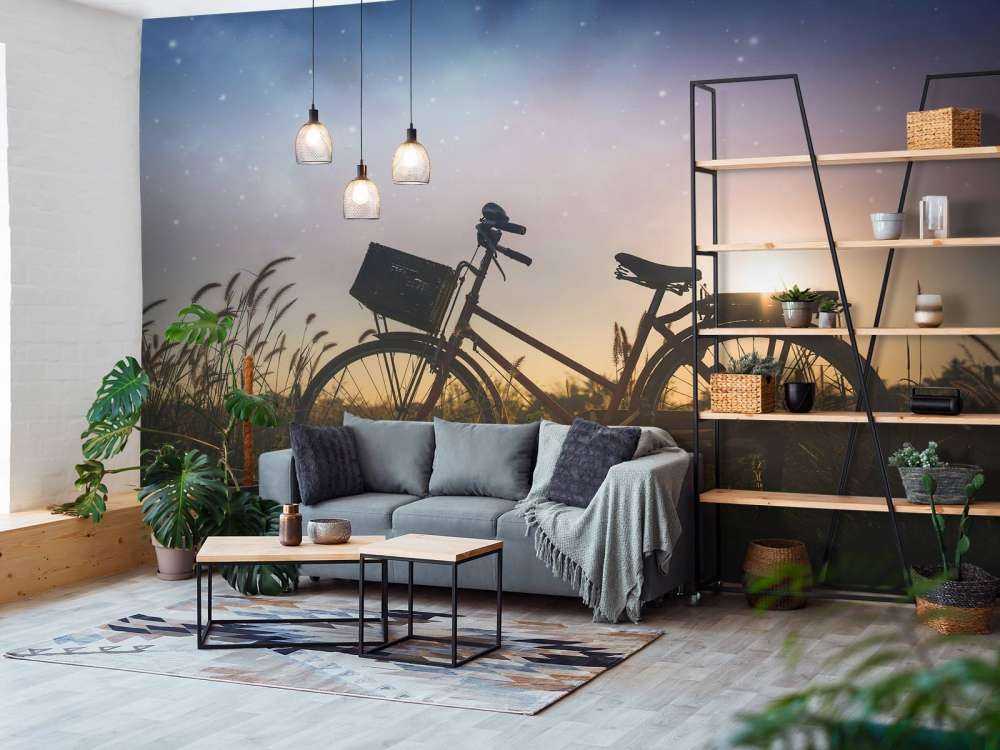 Siluettcykel