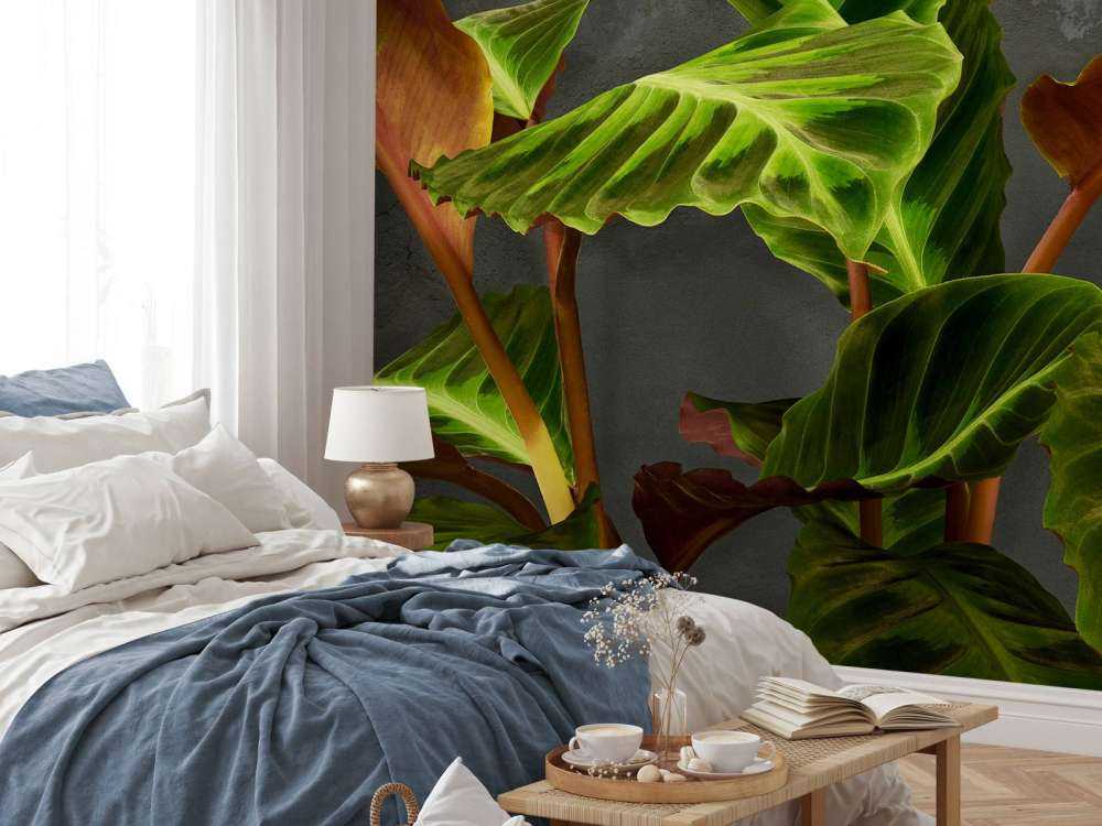 Växt med vackra gröna blad