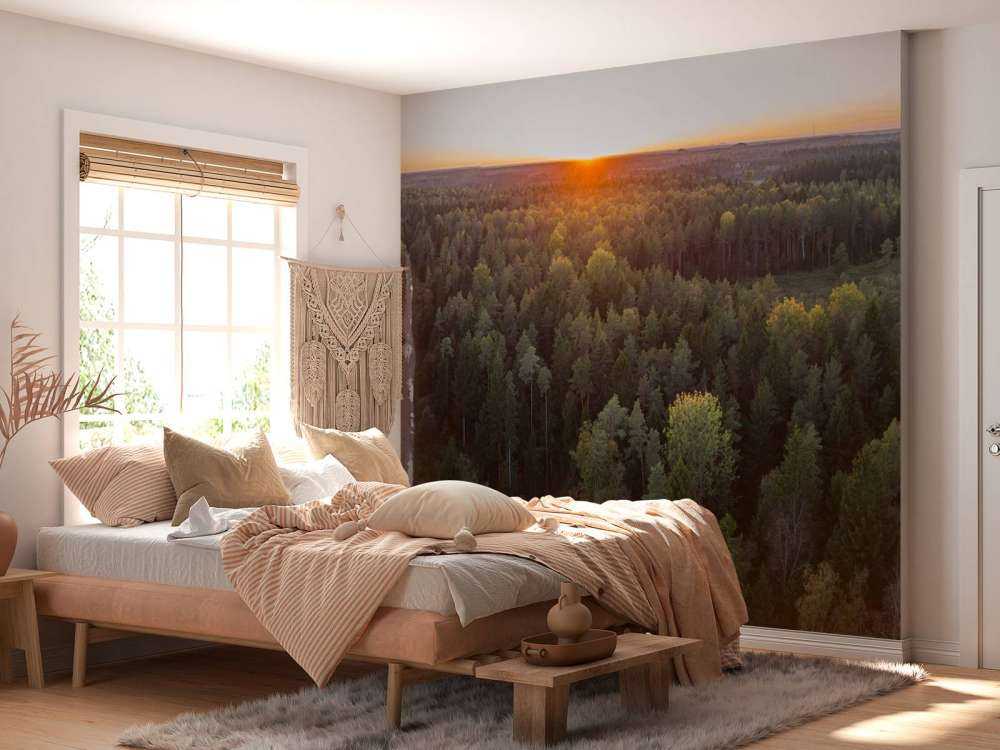 Flygfoto av höstträd