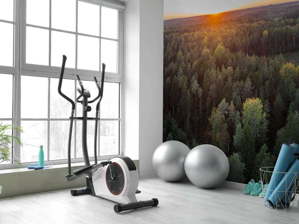 Flygfoto av höstträd