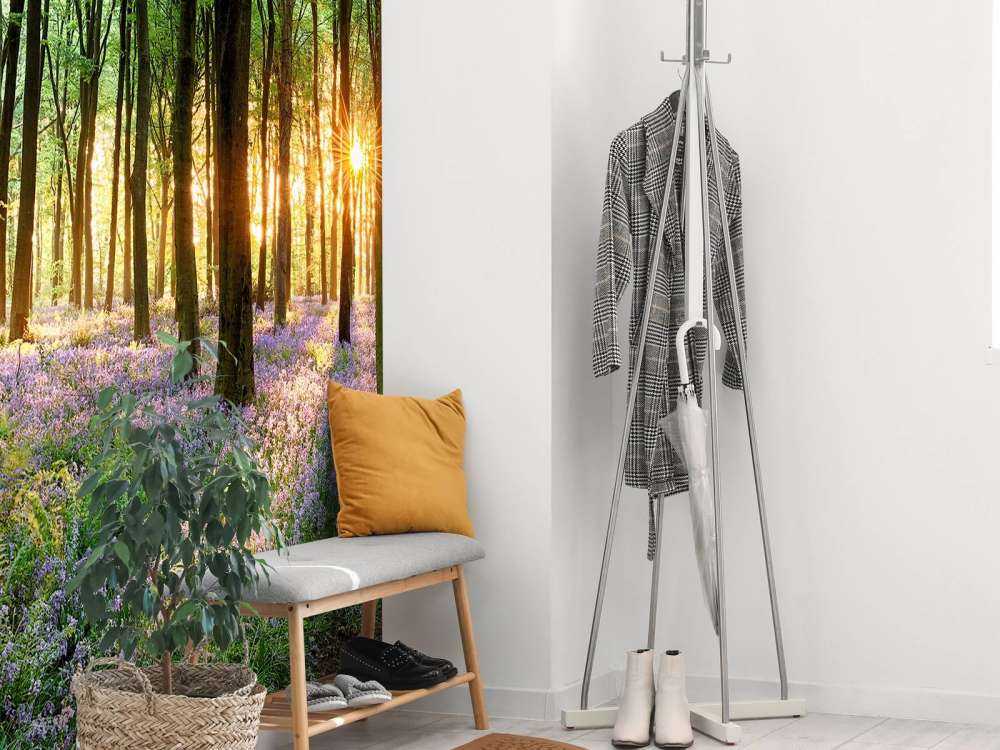 Skogsstig i soluppgång