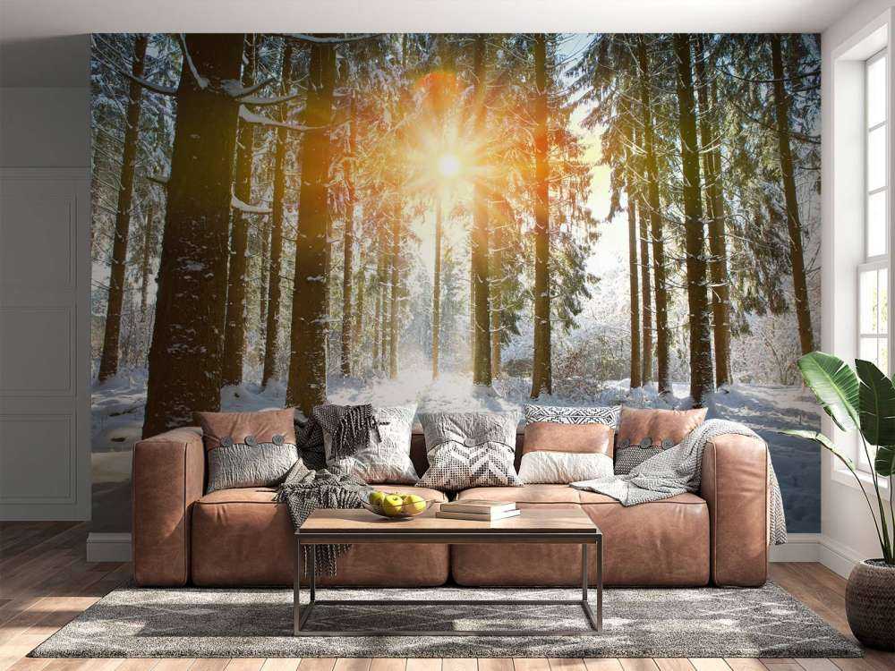 Solljus i vinterskog