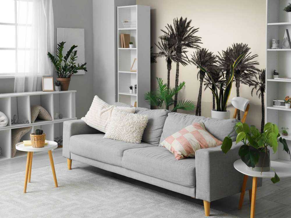 Palmer svart och vitt