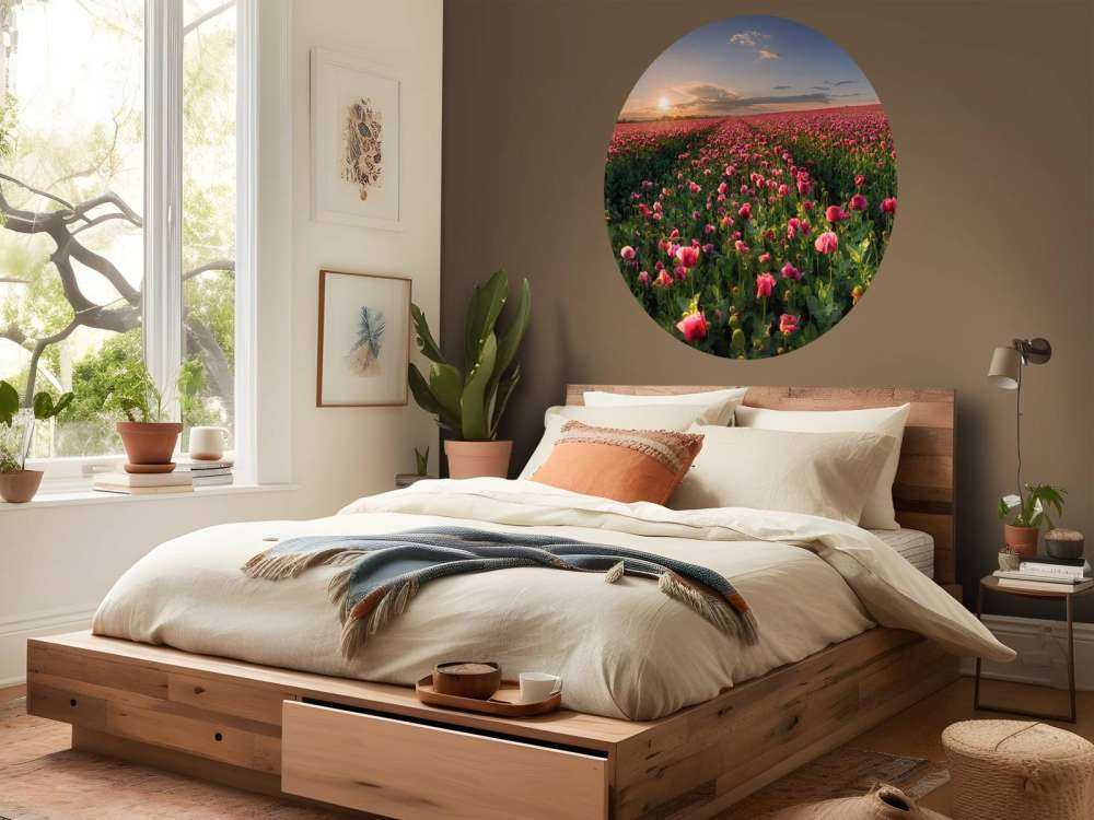 Fält med rosa vallmo