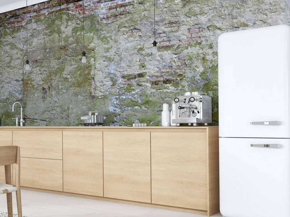 Mossa på gammal vägg