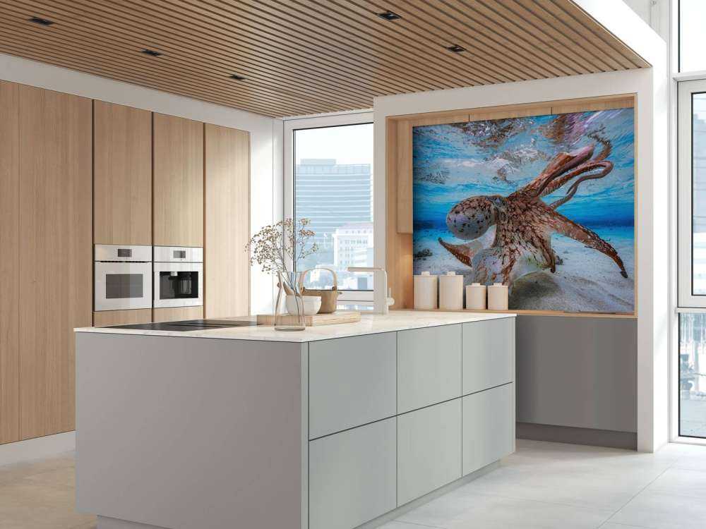 Dancing Octopus