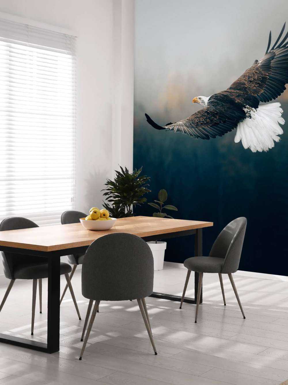 Bald eagle over skoven