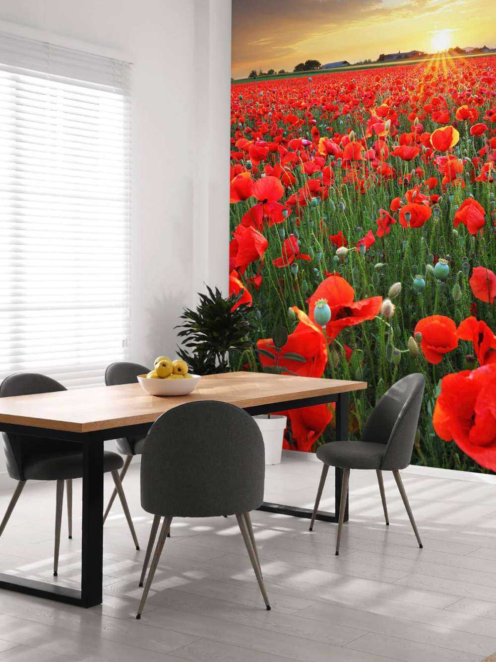 Valmuer ved solnedgang