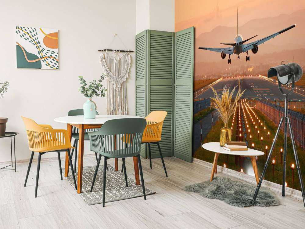 Landingsfly i aftensolen