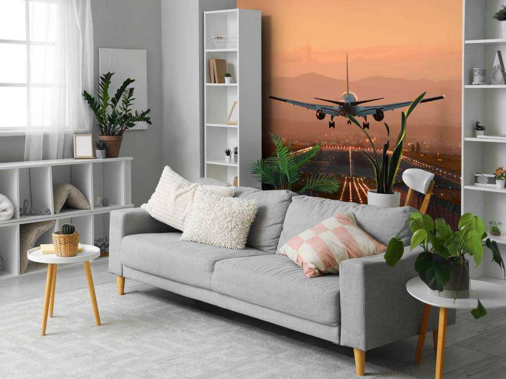 Landingsfly i aftensolen