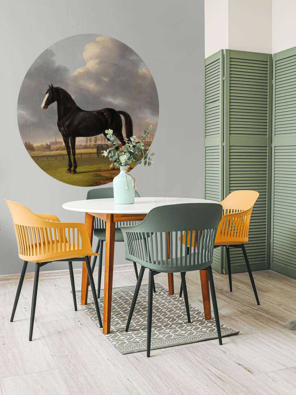 fototapet hest. Harddråer De Vlugge