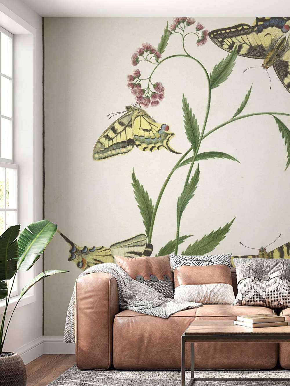 Fire sommerfugle på blomster, Paulus Knogh