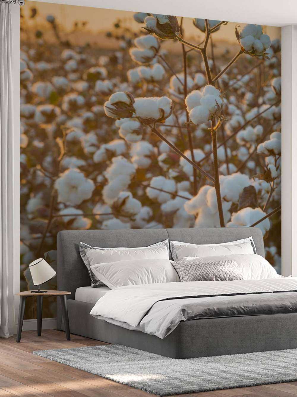 Bomuldsmark med gylden gul himmel