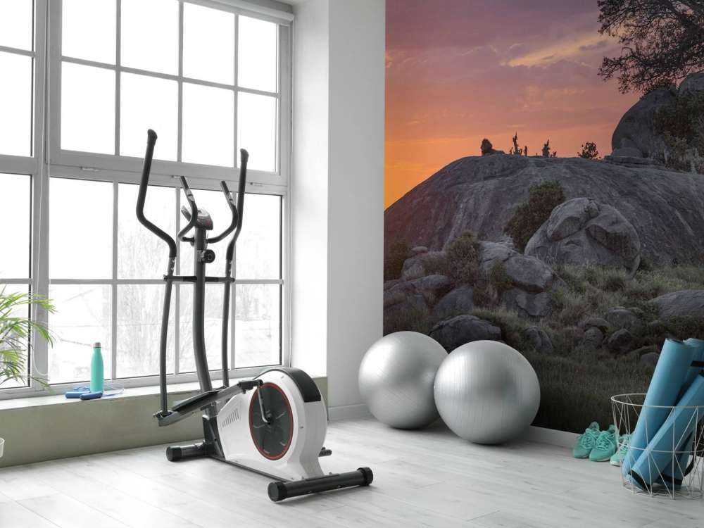 Solnedgang over savannen