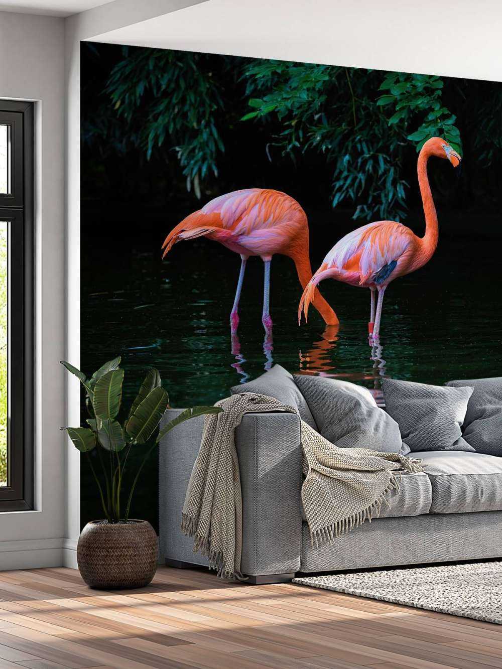 To bilibiske flamingoer