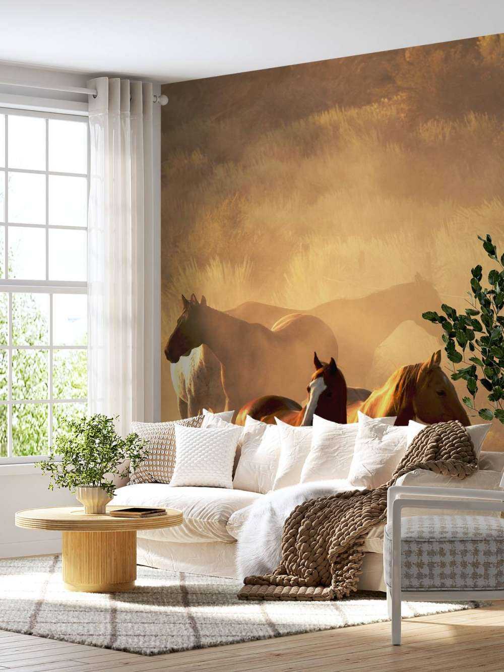 Heste under en solnedgang