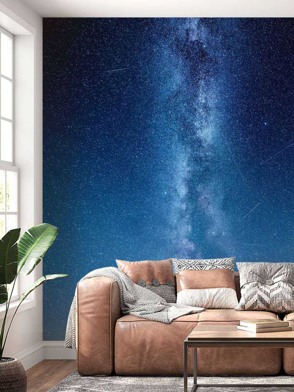 Foto af Mælkevejen