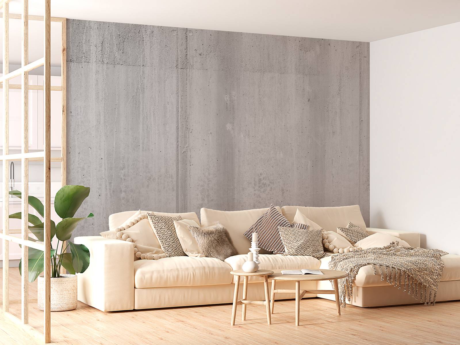 Beton sort og hvid