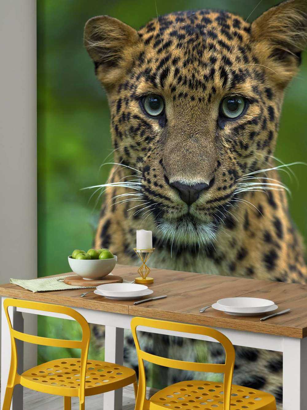 Fokuseret leopard