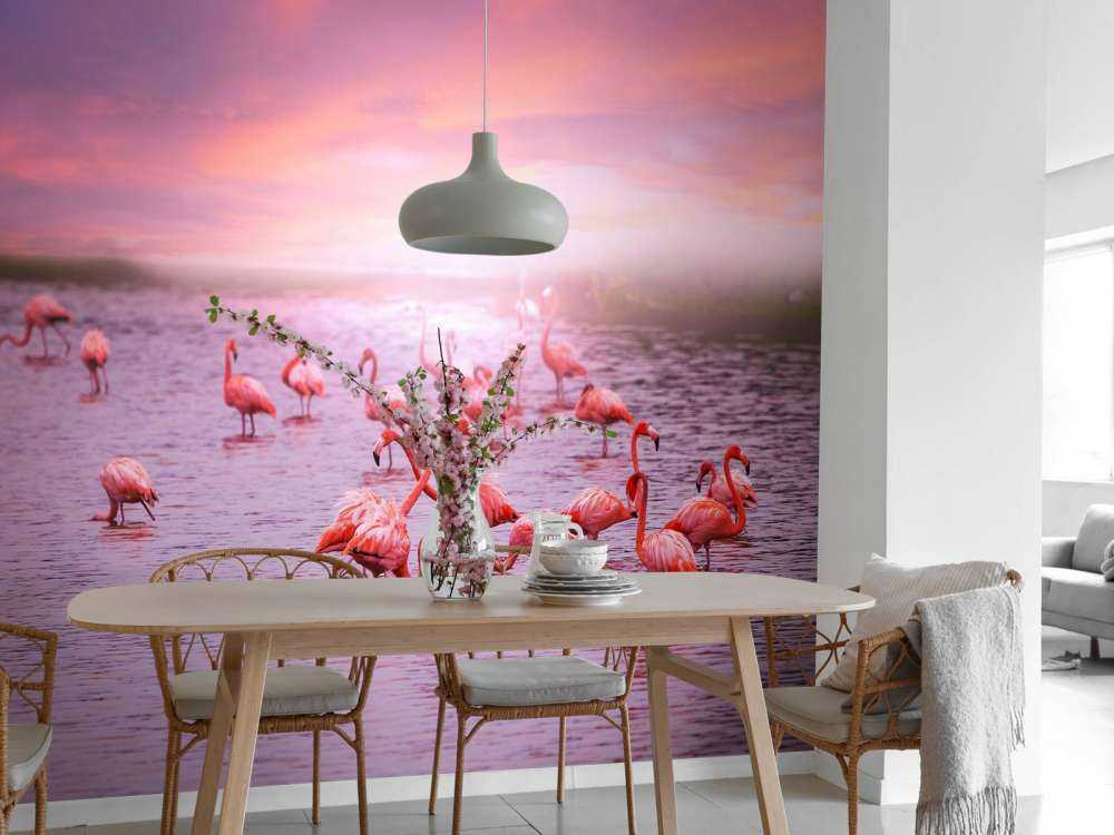 Flamingoer med solnedgang