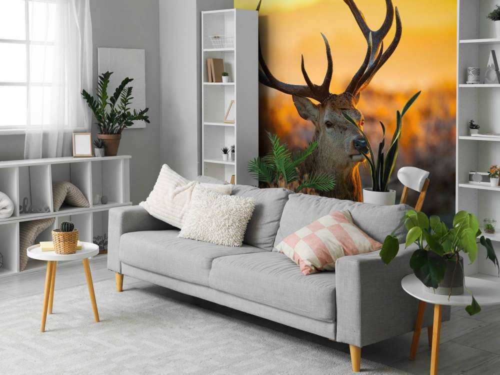 Hert in natuurgebied