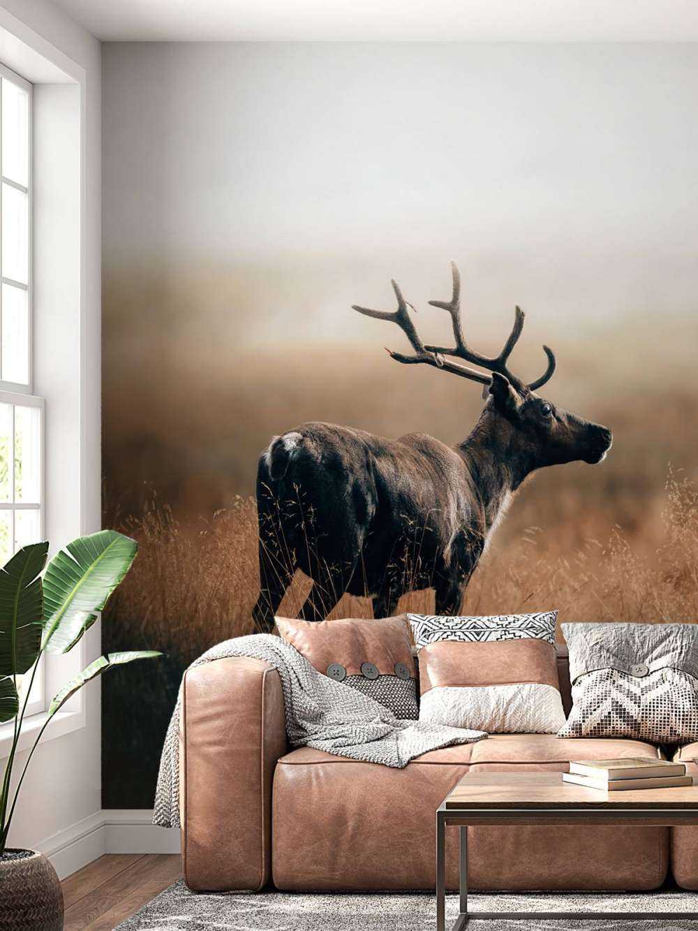 Rensdyr i det høje græs